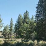 Forks Campground