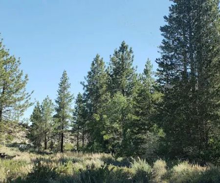 Forks Campground