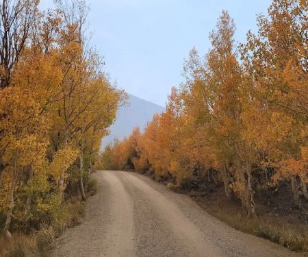 Willow Campground
