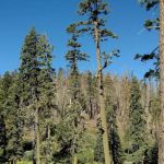 Panorama Campground