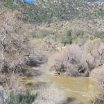 Black Gulch South