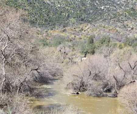 Black Gulch South