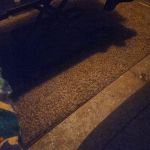 Myrtle Grove