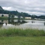 Thornwood Village