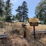 Sawmill Campground