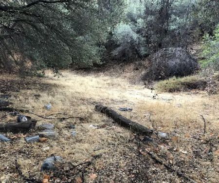 Lion trail camp
