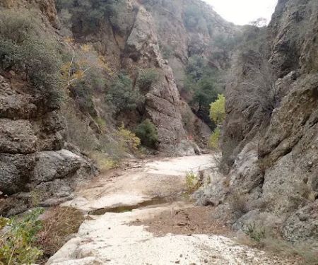 Cienega Campground
