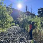 Oakwilde Campground