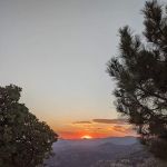 Chilao Campground