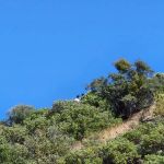 Los Alamos Campground