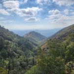 Idlehour Trail Camp