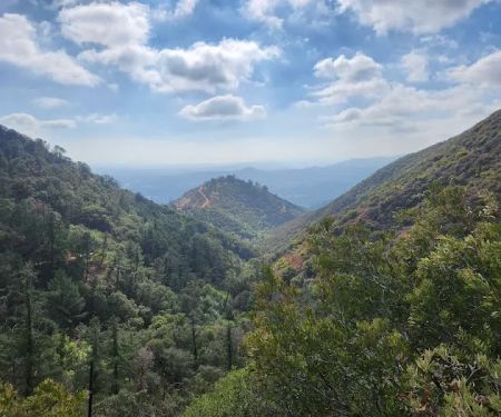 Idlehour Trail Camp