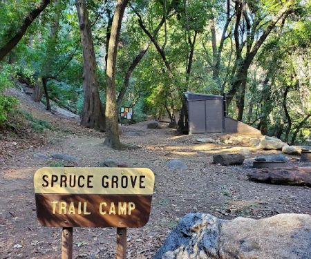 Spruce Grove Trail Camp
