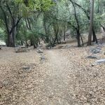 Hoegee Trail Camp