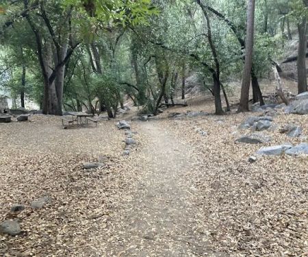 Hoegee Trail Camp