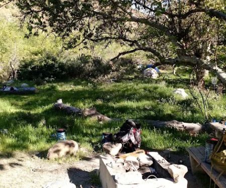 Sespe Camp