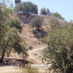 Oak Park Campground