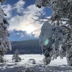 Oak Flat Camp
