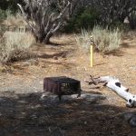 Paiute Canyon Yellow Post Sites