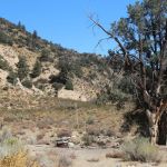 Sunset Campground, near gold mine.