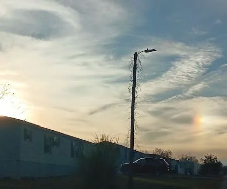 Holly Tree Village