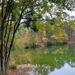 Pine Lake RV Resort