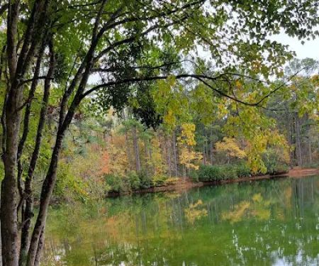 Pine Lake RV Resort