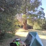 Silverwood Lake Hike & Bike Sites