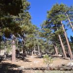 Sheep Campground
