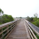 Topsail Sound Campground