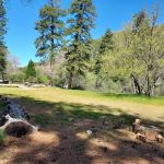 Miller Canyon Group Sites