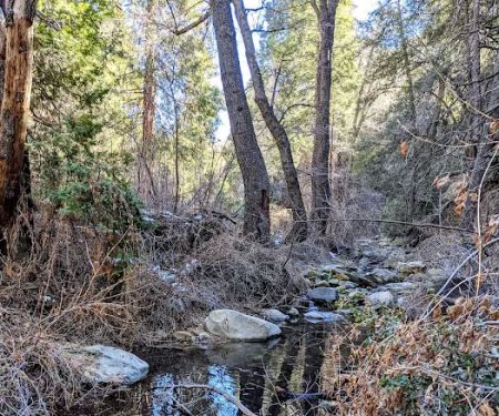 Beartrap Trail Camp
