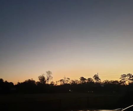 Murray RV Park