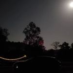 Fox Campground