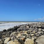 Hobson Beach Park