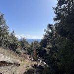 Chorro Springs Campground