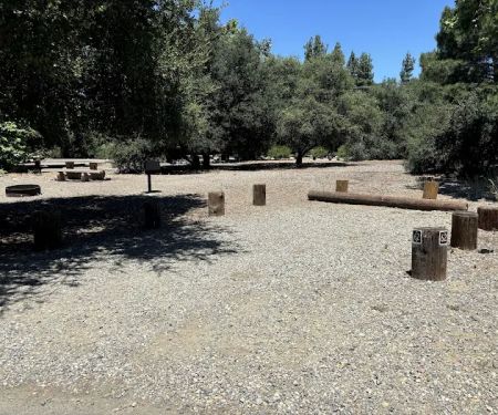 Campsite #62