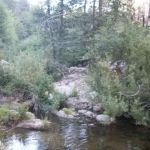 Camp Hinckley