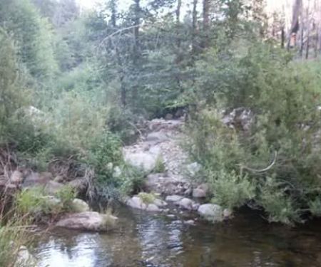 Camp Hinckley