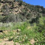 Deal Campground