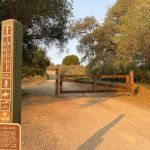 Live Oak Campground at Caspers Wilderness Park