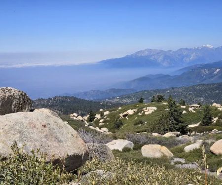 Keller Peak Yellow Post Sites