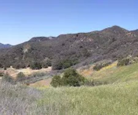 P-Bar Flats Campground