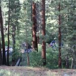 Hanna Flat Campground