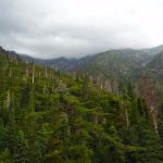 Alger Creek