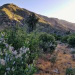Heath Campground
