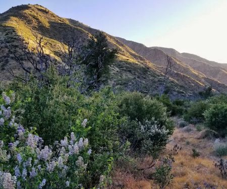 Heath Campground