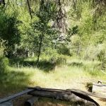 Cottonwood Camp