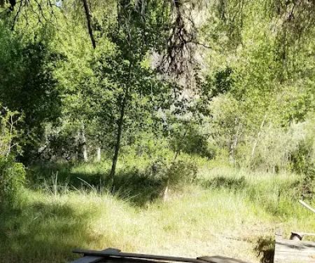 Cottonwood Camp