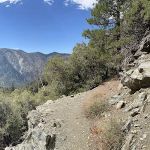 Dobb's Camp